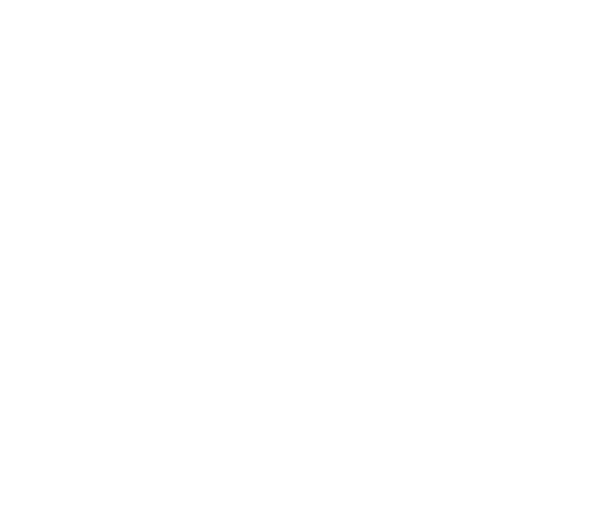 Meticulous Temples